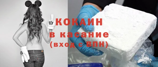 дживик Белокуриха