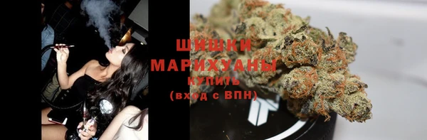 дживик Белокуриха