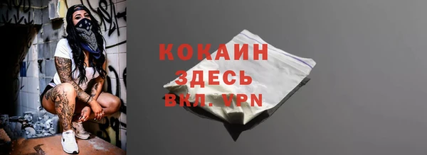 дживик Белокуриха