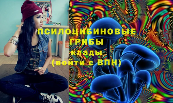 дживик Белокуриха