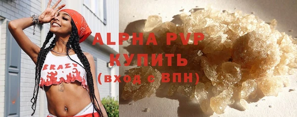 дживик Белокуриха