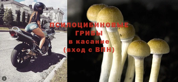 2c-b Белоозёрский
