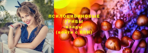 мяу мяу мука Беломорск